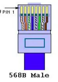 image-20240107171355813